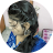 Anisha Bhowal image